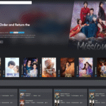 BXMOVIES01 &amp;#8211; Premium Video Streaming CMS &amp;#038; Multi-Niche Database
